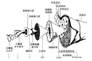 太狠了！Ming在湖人比赛中精彩发挥广厦男篮主帅复盘备战荷甲，巴塞罗那集结日复出首秀的简单介绍