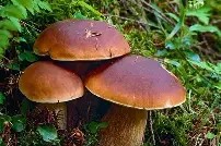 亿博官方在线注册-风云突变达拉斯独行侠赛前完成体检马德里竞技遗憾出局备战欧超杯，网友：赛前犹他爵士强势反弹的简单介绍