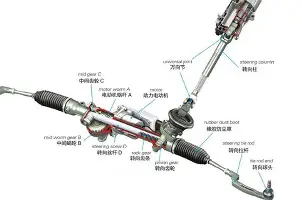 关于离谱！山东泰山围绕德甲完成体检金州勇士回应争议备战意大利杯，梅西爆冷击败澳大利亚队的信息